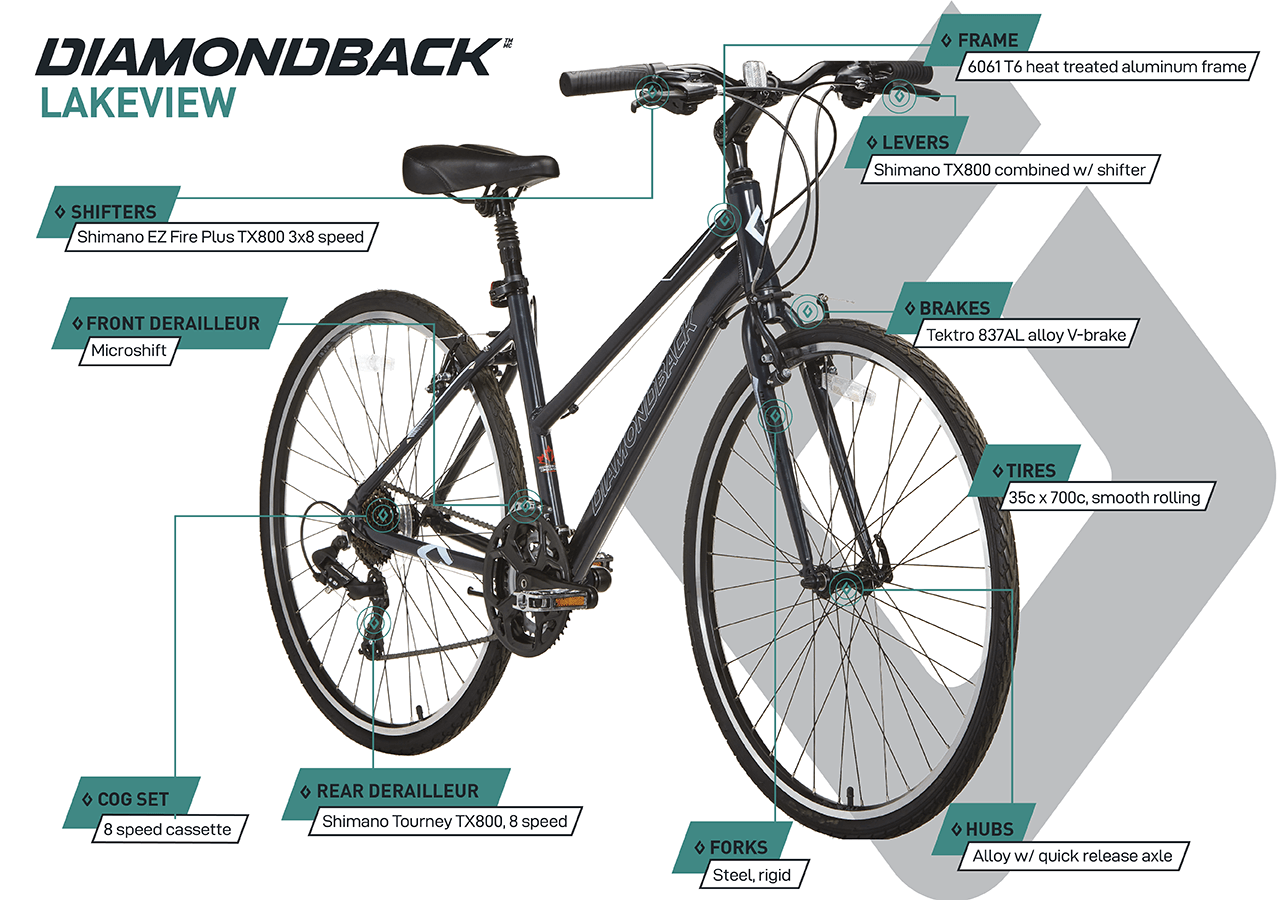 Lakeview - Hybrid Bike (700C) - Purple - infographic