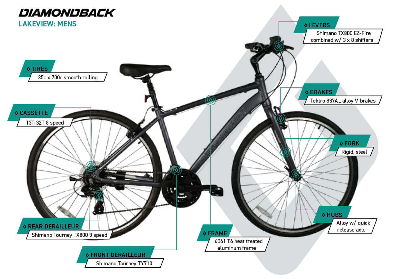Lakeview 700C - Men's Hybrid Bike - infographic