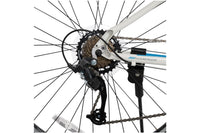 Lachine 1 - City Bike (700C)