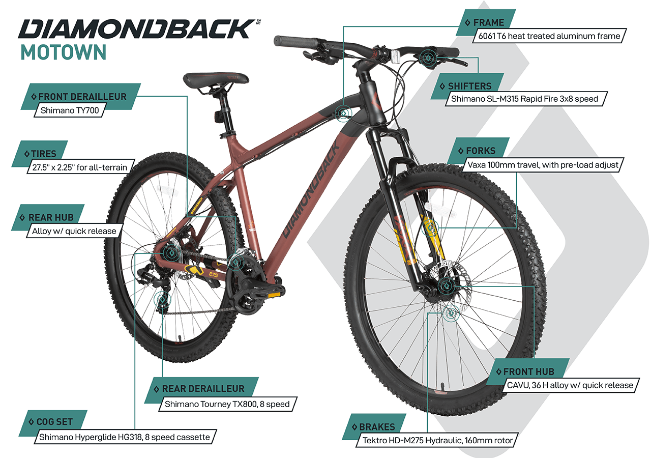 X rated mountain top bike