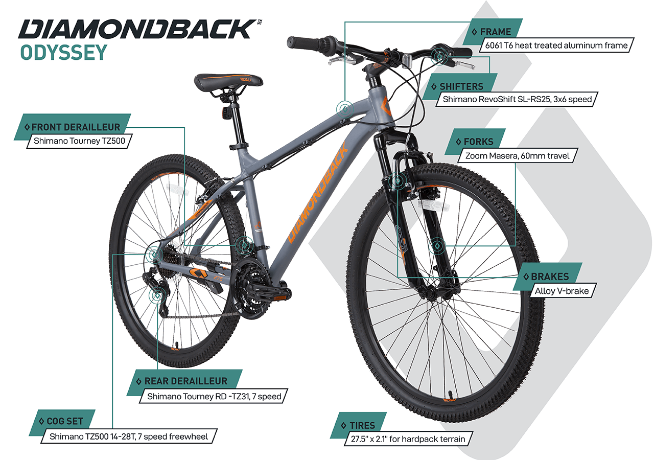 Mtb dimensions sale